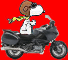 Avatar de Usuario