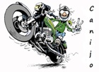 Avatar de Usuario