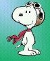 Avatar de Usuario