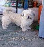 Avatar de Usuario