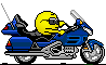 Moto1 :moto1: